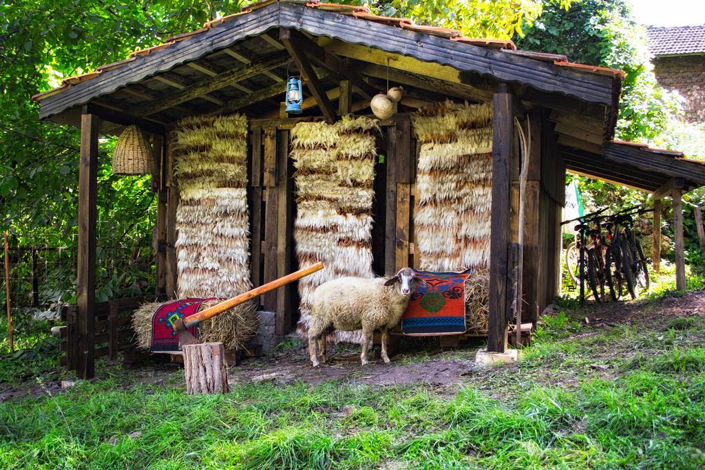 Milkovata Guest House Koşov Cameră foto